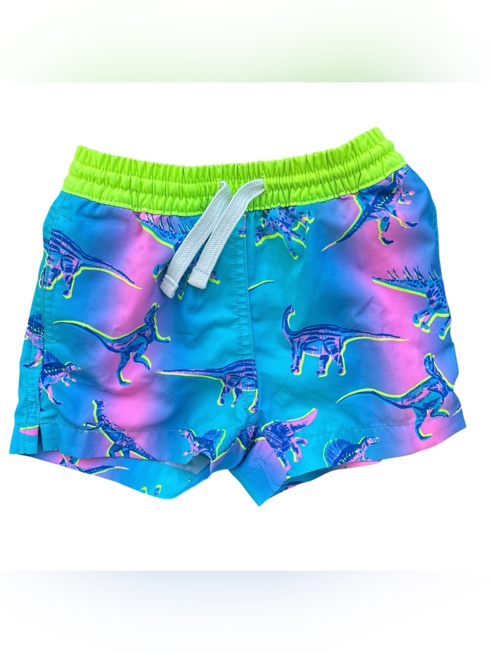 Chubbies Neon Dino Print Toddler Swim Shorts Trunks 2T